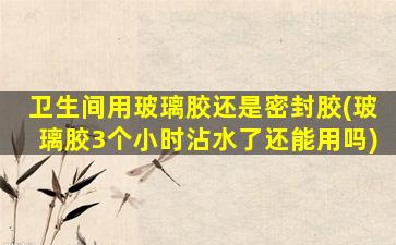 卫生间用玻璃胶还是密封胶(玻璃胶3个小时沾水了还能用吗)