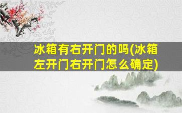 冰箱有右开门的吗(冰箱左开门右开门怎么确定)