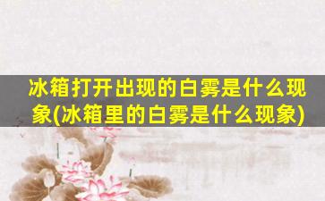 冰箱打开出现的白雾是什么现象(冰箱里的白雾是什么现象)