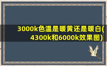 3000k色温是暖黄还是暖白(4300k和6000k效果图)