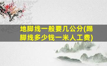 地脚线一般要几公分(踢脚线多少钱一米人工费)