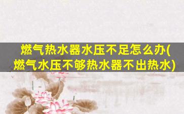 燃气热水器水压不足怎么办(燃气水压不够热水器不出热水)