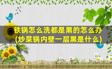 铁锅怎么洗都是黑的怎么办(炒菜锅内壁一层黑是什么)