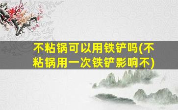 不粘锅可以用铁铲吗(不粘锅用一次铁铲影响不)
