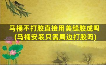 马桶不打胶直接用美缝胶成吗(马桶安装只需周边打胶吗)