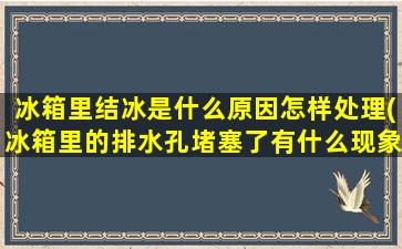 冰箱里结冰是什么原因怎样处理(冰箱里的排水孔堵塞了有什么现象)