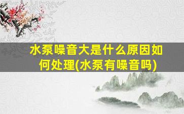 水泵噪音大是什么原因如何处理(水泵有噪音吗)
