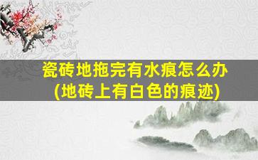 瓷砖地拖完有水痕怎么办(地砖上有白色的痕迹)
