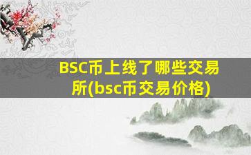BSC币上线了哪些交易所(bsc币交易价格)