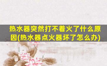 热水器突然打不着火了什么原因(热水器点火器坏了怎么办)