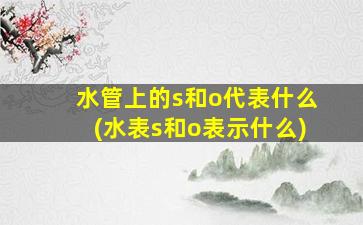 水管上的s和o代表什么(水表s和o表示什么)