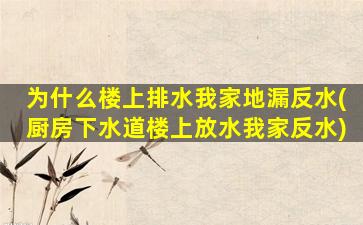 为什么楼上排水我家地漏反水(厨房下水道楼上放水我家反水)