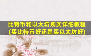 比特币和以太坊购买详细教程(买比特币好还是买以太坊好)