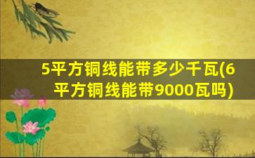 5平方铜线能带多少千瓦(6平方铜线能带9000瓦吗)
