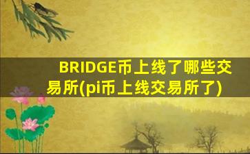 BRIDGE币上线了哪些交易所(pi币上线交易所了)