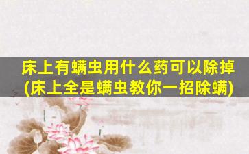 床上有螨虫用什么药可以除掉(床上全是螨虫教你一招除螨)