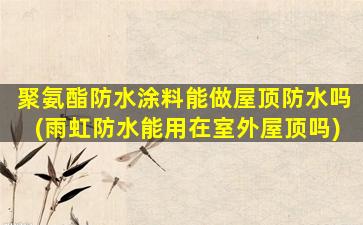 聚氨酯防水涂料能做屋顶防水吗(雨虹防水能用在室外屋顶吗)