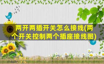 两开两插开关怎么接线(两个开关控制两个插座接线图)