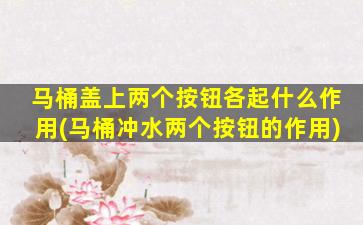 马桶盖上两个按钮各起什么作用(马桶冲水两个按钮的作用)