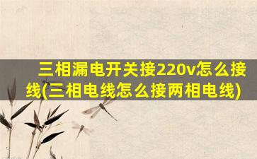 三相漏电开关接220v怎么接线(三相电线怎么接两相电线)