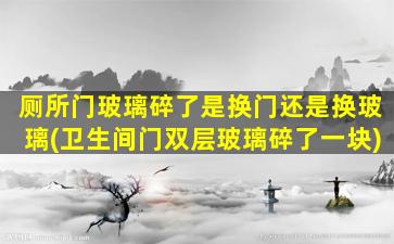 厕所门玻璃碎了是换门还是换玻璃(卫生间门双层玻璃碎了一块)