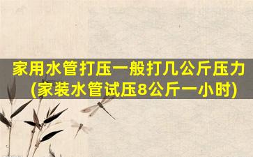 家用水管打压一般打几公斤压力(家装水管试压8公斤一小时)