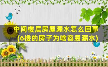 中间楼层房屋漏水怎么回事(6楼的房子为啥容易漏水)