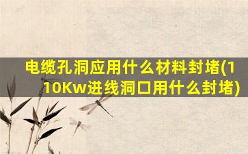 电缆孔洞应用什么材料封堵(110Kw进线洞口用什么封堵)