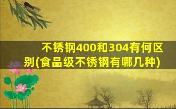 不锈钢400和304有何区别(食品级不锈钢有哪几种)