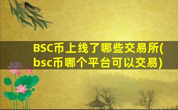 BSC币上线了哪些交易所(bsc币哪个平台可以交易)