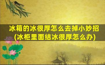 冰箱的冰很厚怎么去掉小妙招(冰柜里面结冰很厚怎么办)