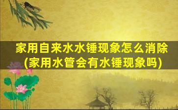 家用自来水水锤现象怎么消除(家用水管会有水锤现象吗)