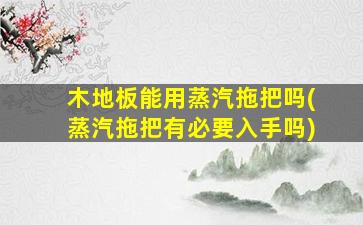 木地板能用蒸汽拖把吗(蒸汽拖把有必要入手吗)