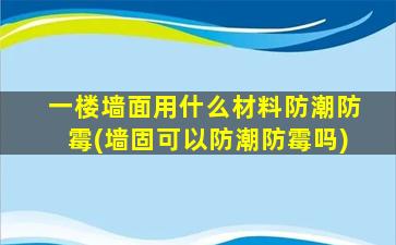 一楼墙面用什么材料防潮防霉(墙固可以防潮防霉吗)