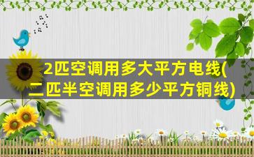 2匹空调用多大平方电线(二匹半空调用多少平方铜线)