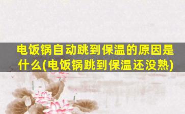 电饭锅自动跳到保温的原因是什么(电饭锅跳到保温还没熟)