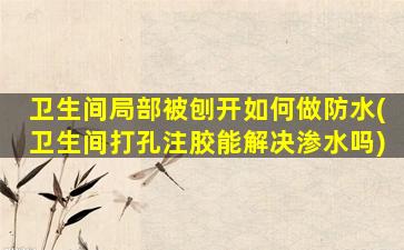 卫生间局部被刨开如何做防水(卫生间打孔注胶能解决渗水吗)