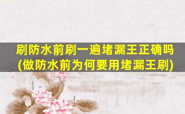 刷防水前刷一遍堵漏王正确吗(做防水前为何要用堵漏王刷)