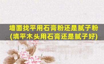 墙面找平用石膏粉还是腻子粉(填平木头用石膏还是腻子好)
