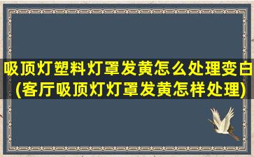 吸顶灯塑料灯罩发黄怎么处理变白(客厅吸顶灯灯罩发黄怎样处理)
