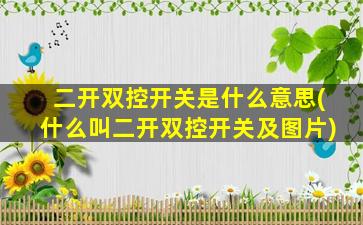 二开双控开关是什么意思(什么叫二开双控开关及图片)