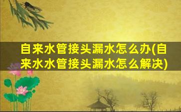 自来水管接头漏水怎么办(自来水水管接头漏水怎么解决)