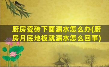 厨房瓷砖下面漏水怎么办(厨房月底地板就漏水怎么回事)