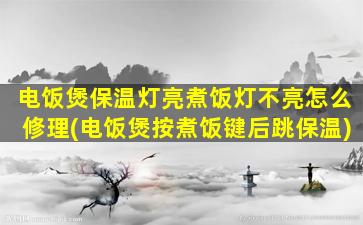 电饭煲保温灯亮煮饭灯不亮怎么修理(电饭煲按煮饭键后跳保温)