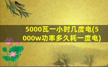 5000瓦一小时几度电(5000w功率多久耗一度电)