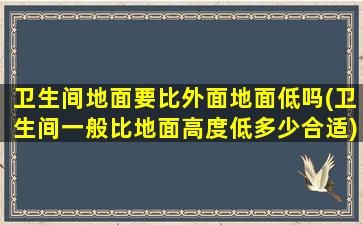 卫生间地面要比外面地面低吗(卫生间一般比地面高度低多少合适)