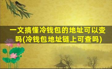 一文搞懂冷钱包的地址可以变吗(冷钱包地址链上可查吗)