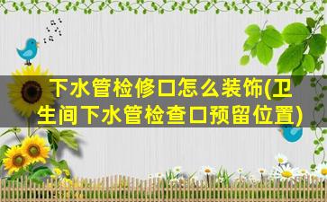 下水管检修口怎么装饰(卫生间下水管检查口预留位置)
