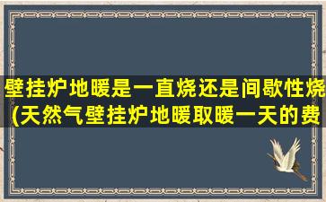壁挂炉地暖是一直烧还是间歇性烧(天然气壁挂炉地暖取暖一天的费用)