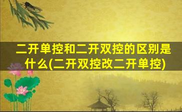 二开单控和二开双控的区别是什么(二开双控改二开单控)